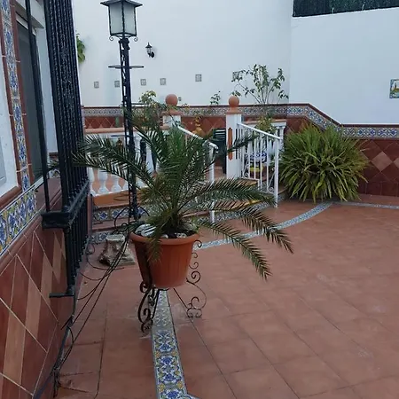 Wish Dolores Leon De Triana Севилья